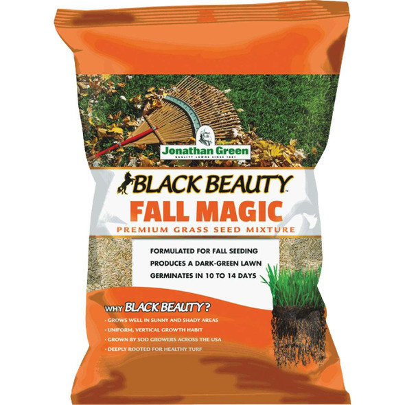 Black Beauty 25lb Fall Magic Seed 10770