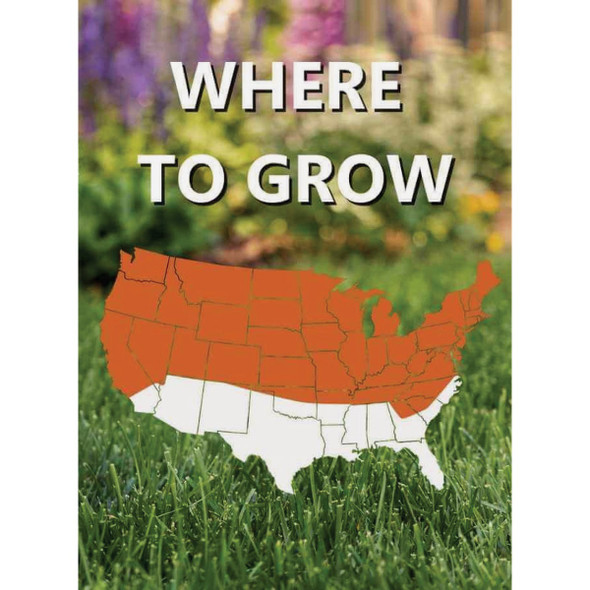 Black Beauty 25lb Fall Magic Seed 10770 710405