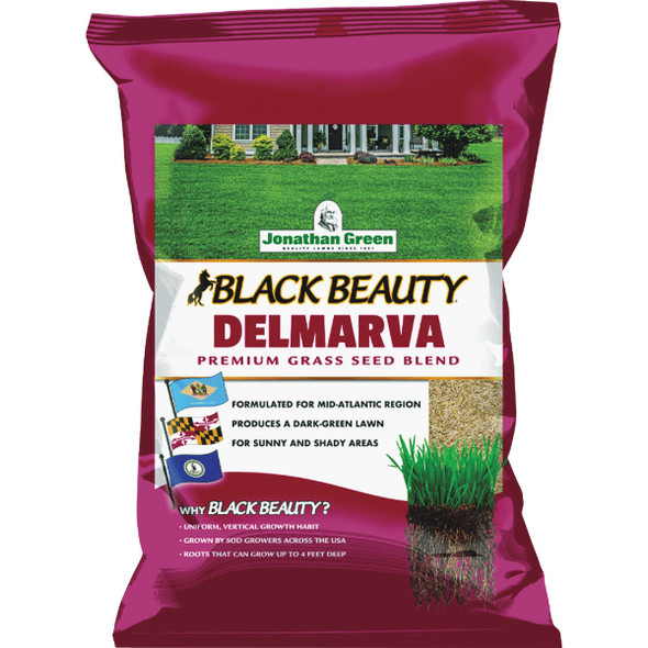 Black Beauty 25lb Delmarva Grass Seed 10392