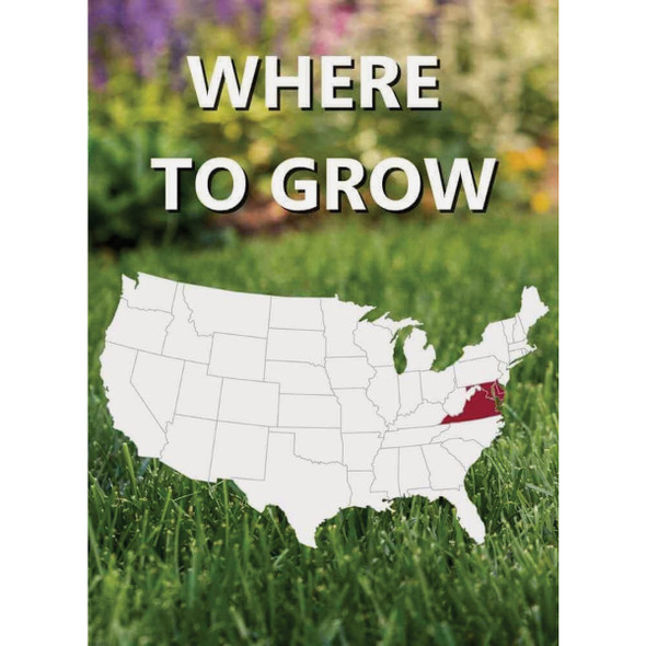 Jonathan Green Black Beauty Delmarva 25 Lb. 7500 Sq. Ft. Coverage Tall Fescue Grass Seed