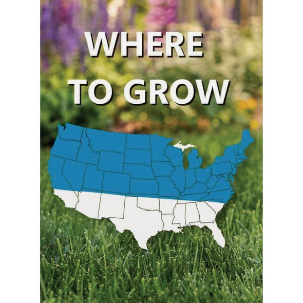 Blue Panther 3lb Blue Panther Seed 11970 719543