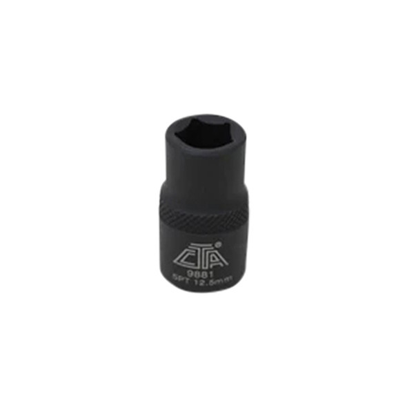 5 Pt. x 12.5mm Socket - Female 9881