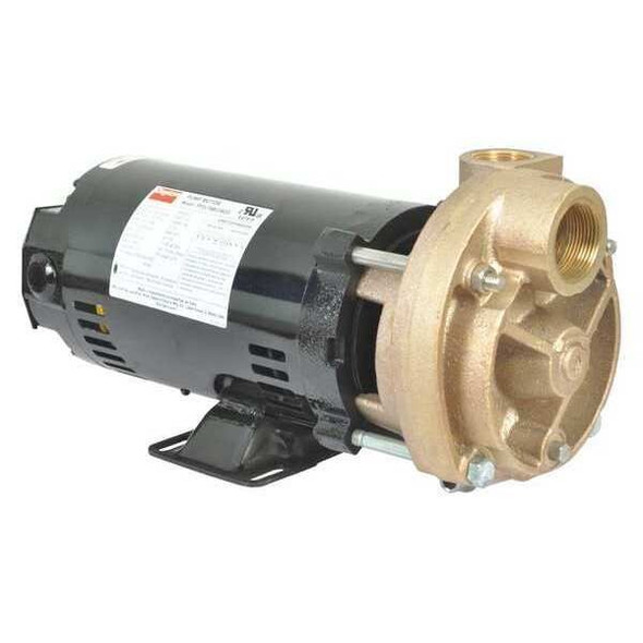 Dayton Turbine Pump,3/4 HP,208-230 to 460V 53EA97