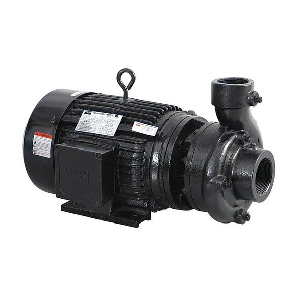 Dayton CentrfPmp,10hp,CI,2-1/2" 55JJ58