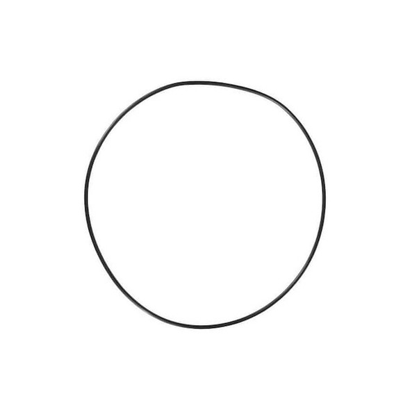 Dayton O-Ring,Casing PPL3431G