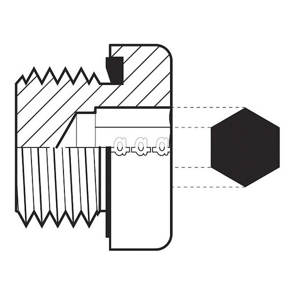 Adaptall Hose Adapter,1/2",BSPP 9028-08
