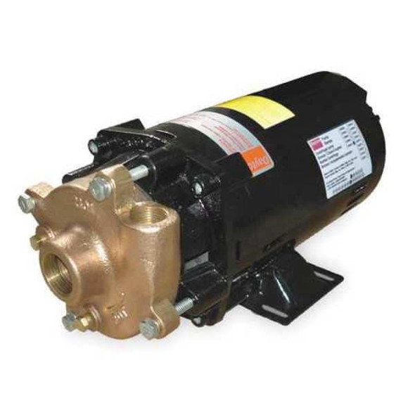 Dayton Bronze/Brass 1/2 HP Centrifugal Pump 208-230/460V 2ZWR6