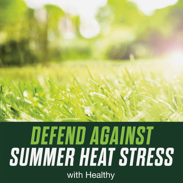 Scotts Turf Builder Healthy Plus Lawn Food FL 8000 Sq. Ft. 2-In-1 Fungicide & Fertilizer