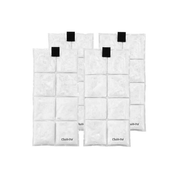 Ergodyne Clear Lightweight Phase Change Cooling P 6250