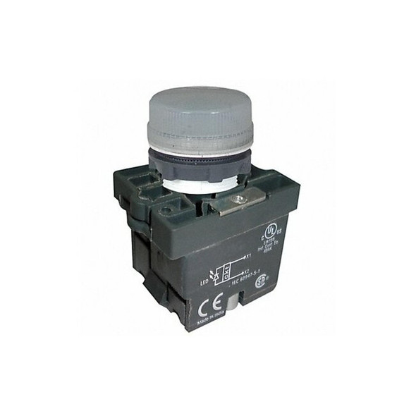 Dayton Pilot Light, LED, 22mm, 24VAC/DC, WH, Plastic 30G208