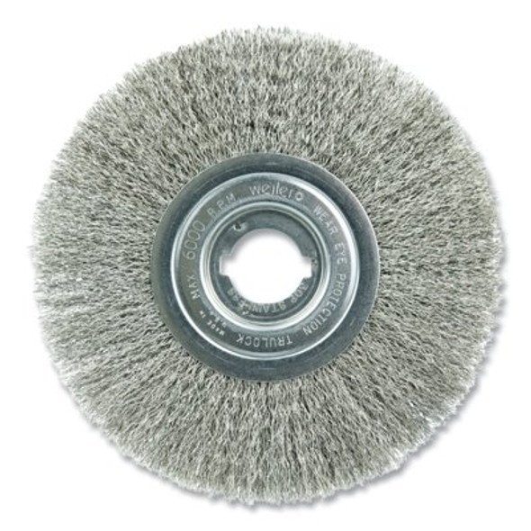 Narrow Face Crimped Wire Wheel, 8 in dia, 3/4 in W, 0.0118 in Bristle dia, Stainless Steel, 6000 RPM