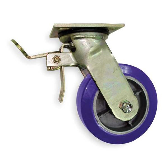 NSF-Listed Plate Caster,1250 lb. Ld Rating,Roller