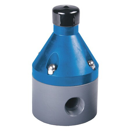 Back Pressure Valve, 1", CPVC/TFE/EPDM, Adjustable 10-150 psi, FPT
