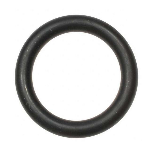 Dayton Solvent Kit, For Dayton, (2) O-Rings PPKITSOLRBP3VG