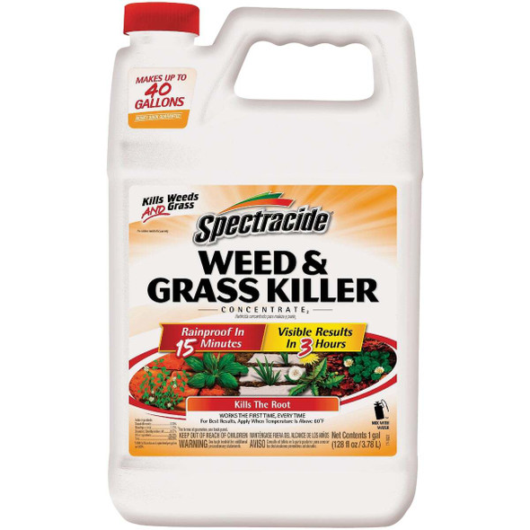 Spectracide 1 Gal. Concentrate Weed & Grass Killer HG-96620