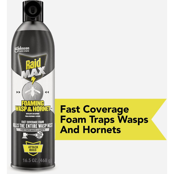 Raid Max 16.5 Oz. Foam Wasp & Hornet Killer 4476 743347