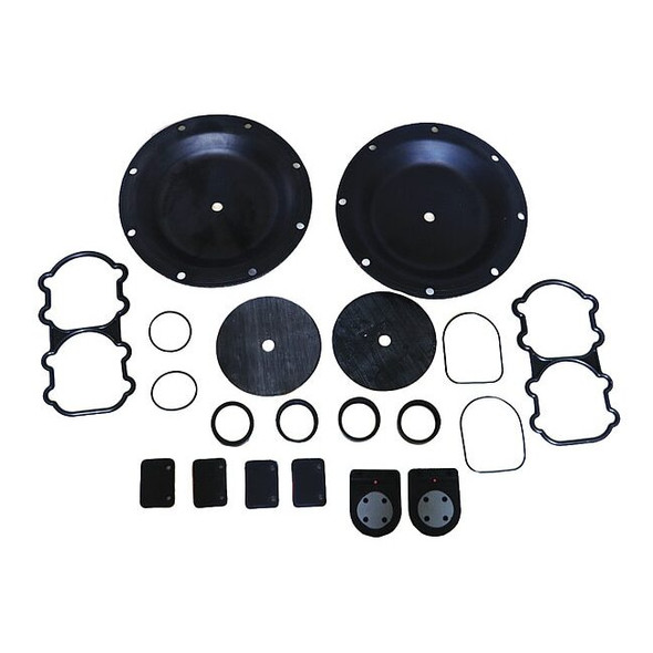 Sandpiper Fluid End Repair Kit, Flap, 2 in 476.354.360