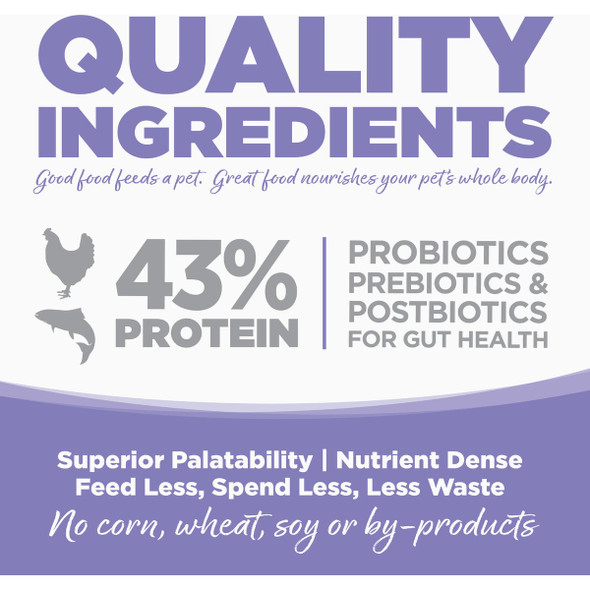 NutriSource 4 Lb. Chicken & Salmon Grain Free Dry Cat & Kitten Food