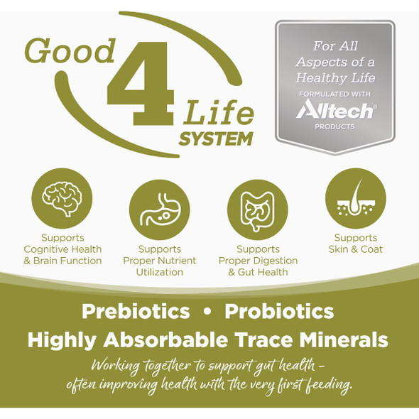 NutriSource 4 Lb. Senior & Weight Management Dry Cat Food