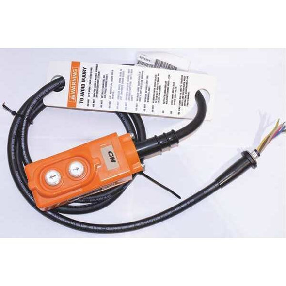 Cm Pendant & 6ft Cord 20607 Cm Pendant & 6ft Cord 20607