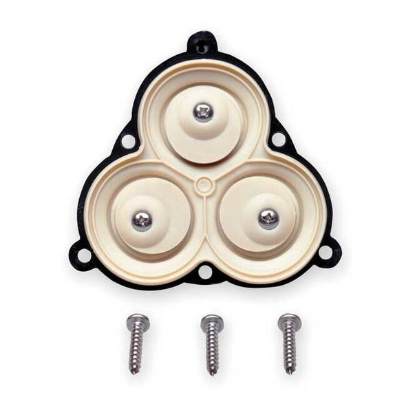 Pentair Shurflo Diaphragm Pump Repair Kit,For 4UN54,TPV 94-395-06