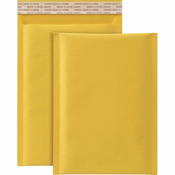Quality Park  Mailer 95001