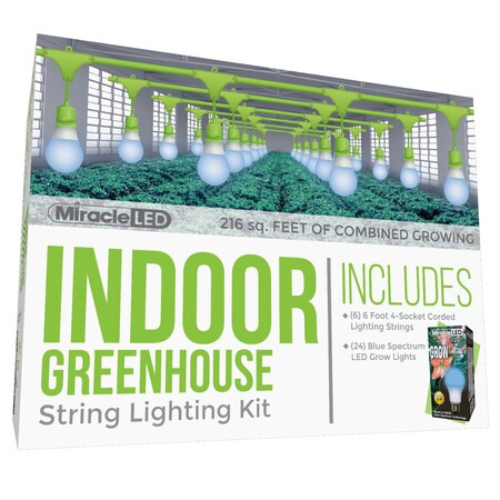 Miracle Led Absolute Daylight 4-Socket Corded L,PK6 601188