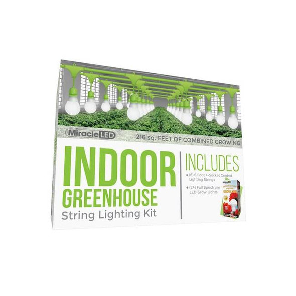 Miracle Led Absolute Daylight 4-Socket Corded L,PK6 601180