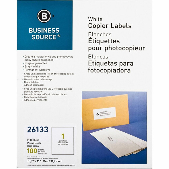 Business Source  Shipping Label 26133