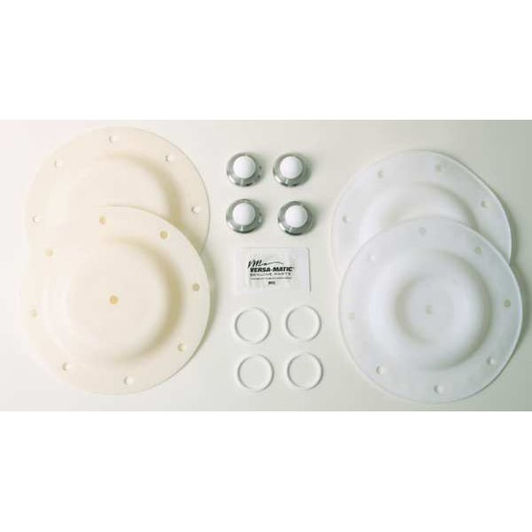Versa-Matic PTFE,Aluminum Elastomer Kit V1 TF/AL KIT-1