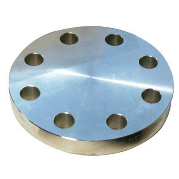 Manufacturer Varies Pipe Flange, Blind Flange, 304/304L SS 4381003400