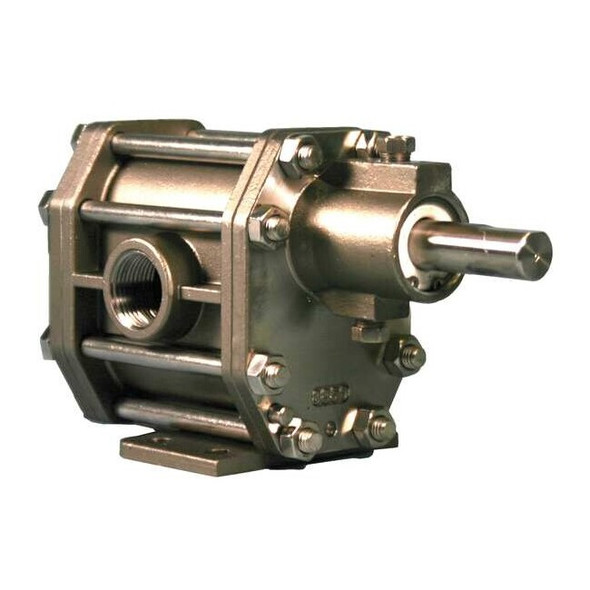 Oberdorfer RotaryGearPmpHead,SS,3/4"InletDia,150psi S41716CA