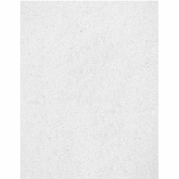Genuine Joe  Cleaning Pad H8054