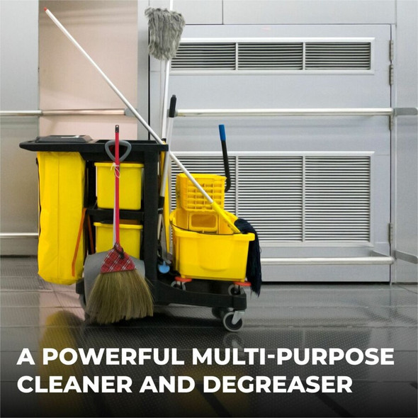 Simple Green Clean Building Multipurpose Cleaner & Degreaser 11001CT SPR-SMP11001CT