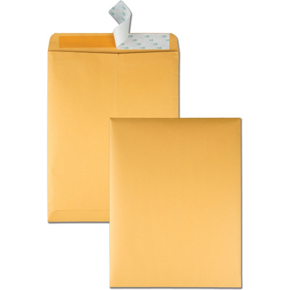Quality Park Redi-Strip Envelope 44762
