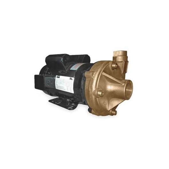 Dayton Bronze 3 HP Centrifugal Pump 230V 2ZXA7