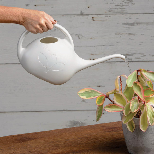 Novelty Root & Vessel 1/2 Gal. Pearl Deluxe Watering Can