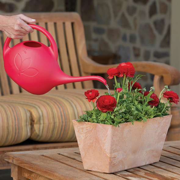 Novelty Root & Vessel 1/2 Gal. Red Deluxe Watering Can