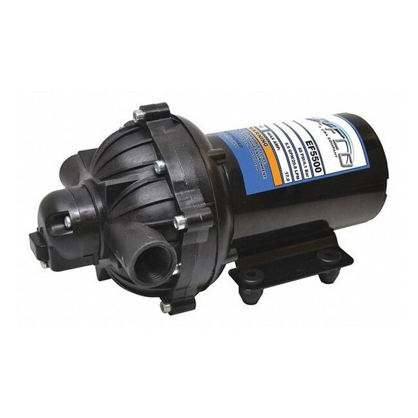 Everflo Sprayer Pump,Inlet/Outlet 1/2" FNPT EF5500-BOX