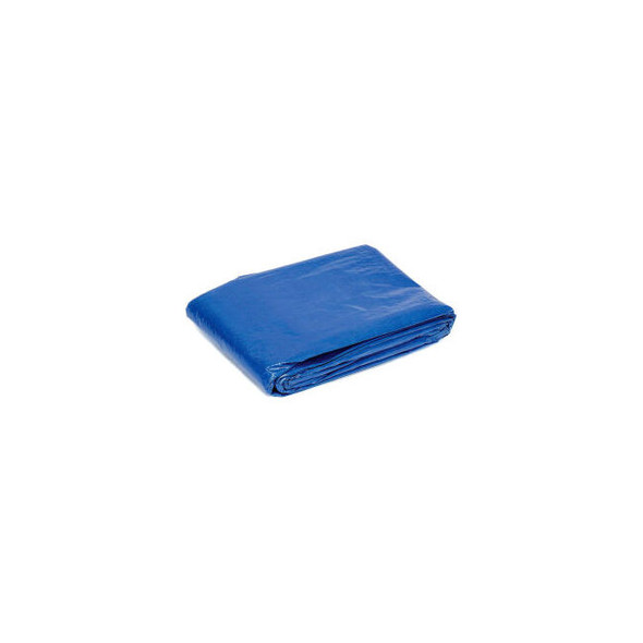 Global Industrial 4' x 6' Light Duty 2.9 oz. Tarp Blue