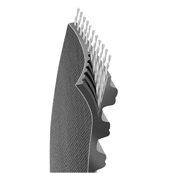 Continental Gearbelt,Falcon HTC,200 Teeth,36mm 8GTR-1600-36