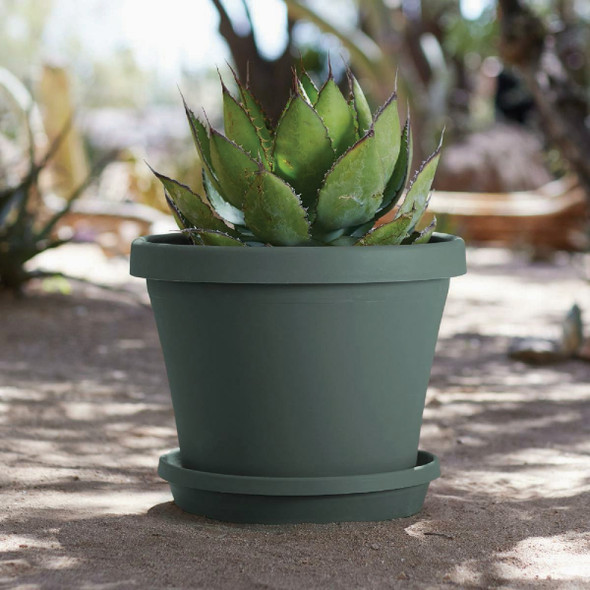 Bloem Terra 12 In. Basil Flower Pot Saucer Bloem Terra 12 In. Basil Flower Pot Saucer