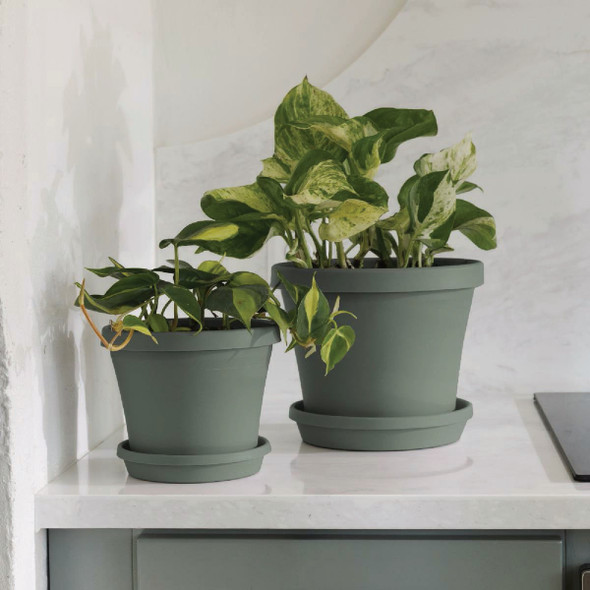 Bloem Terra 8 In. Basil Flower Pot Saucer Bloem Terra 8 In. Basil Flower Pot Saucer