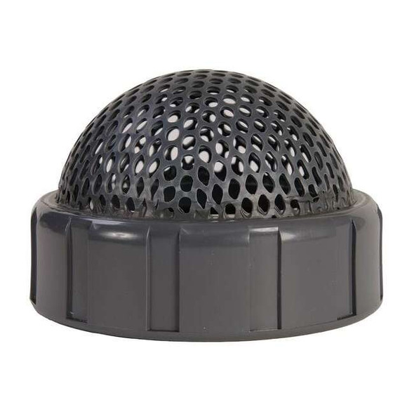 Hayward Flow Control Foot Valve Screen, Ball Check, 1", PVC FV10100SA