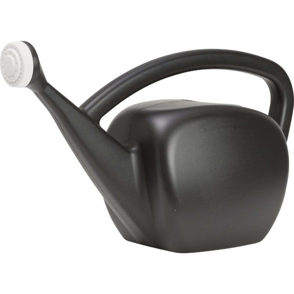 Novelty Root & Vessel 2 Gal. Lime Black Mid-Mod Watering Can 31006