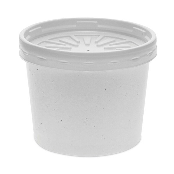 Pactiv Disp Carry-Out Ctnr,12 oz,WH,PK250 D12RBLD Pactiv Disp Carry-Out Ctnr,12 oz,WH,PK250 D12RBLD