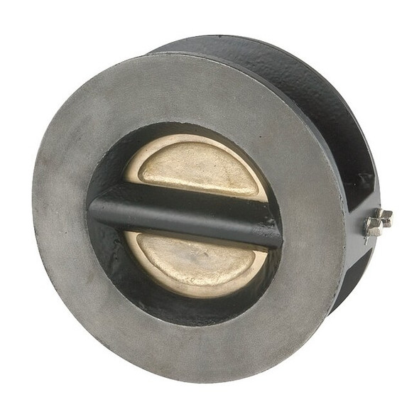 Ssi 2-1/2" Wafer Flange Cast Iron Double Disc Check Valve 0250-125WTIBB-T