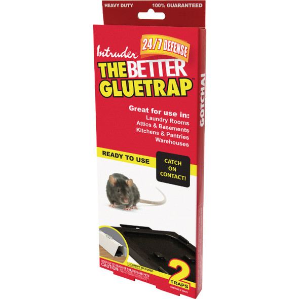 Intruder The Better GlueTrap with Canopy (2-Pack) 17510