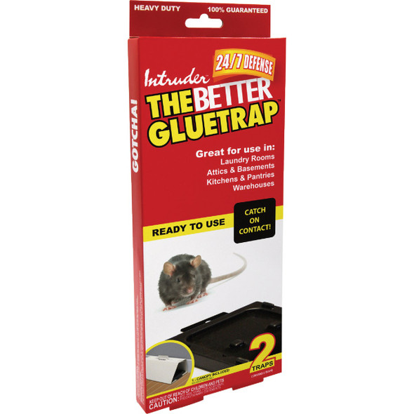 Intruder The Better GlueTrap with Canopy (2-Pack) 17510 733829