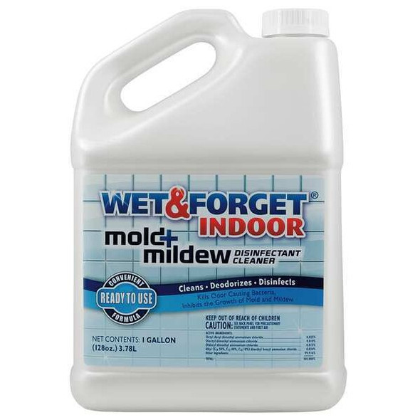 Indoor Mold and Mildew Disinfectant, 1 gal. Jug, Unscented, Clear